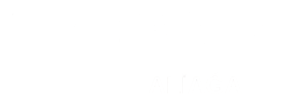 theme-sticky-logo-alt